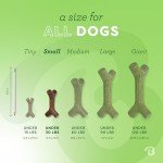 Benebone Indestructible Stick Chew Toy for Dogs