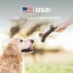 Benebone Indestructible Stick Chew Toy for Dogs