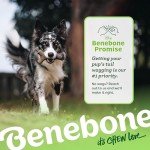 Benebone Indestructible Stick Chew Toy for Dogs