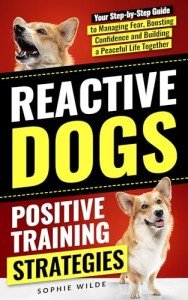 Positive Training for Reactive Dogs: A Step-by-Step Guide