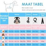 NESTROAD No-Pull Dog Harness and Leash Set