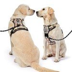 NESTROAD No-Pull Dog Harness and Leash Set
