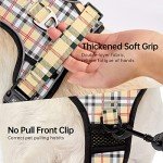 NESTROAD No-Pull Dog Harness and Leash Set