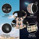 NESTROAD No-Pull Dog Harness and Leash Set