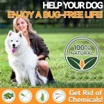 Carmelie Natural Flea & Tick Chews for Dogs