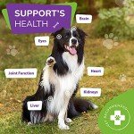 Furever Friendz Daily Multivitamin for Dogs