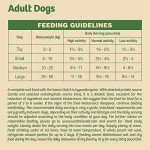 James Wellbeloved Hypoallergenic Lamb in Gravy 10 Pouches