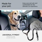 Universal 2-in-1 Dog Seat Belt and Harness