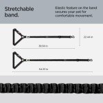 Universal 2-in-1 Dog Seat Belt and Harness