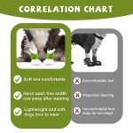 Waterproof Disposable Dog Boots - 20 Pack