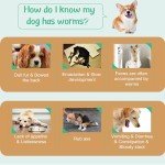 Natural Flea and Tick Treatment for Dogs, 3 Pack
