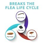 Natural Flea and Tick Treatment for Dogs, 3 Pack