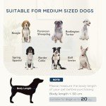 Elevated Grey Dog Sofa Bed with Soft Cushion