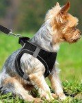 Joytale Soft Mesh Reflective Dog Harness for Small Dogs