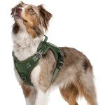 Rabbitgoo Tactical No Pull Dog Harness - Medium Green
