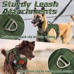 Rabbitgoo Tactical No Pull Dog Harness - Medium Green