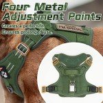 Rabbitgoo Tactical No Pull Dog Harness - Medium Green