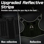 Rabbitgoo Tactical No Pull Dog Harness - Medium Green