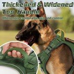 Rabbitgoo Tactical No Pull Dog Harness - Medium Green