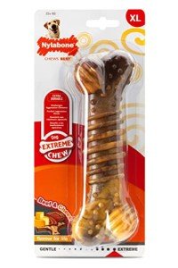 Nylabone Extra Tough Beef & Cheese Chew Toy