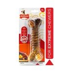 Nylabone Extra Tough Beef & Cheese Chew Toy