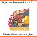 Nylabone Extra Tough Beef & Cheese Chew Toy