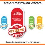 Nylabone Extra Tough Beef & Cheese Chew Toy