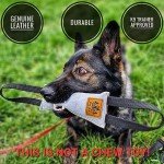 Durable Leather Tug Toy for Dog Training