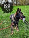 Durable Leather Tug Toy for Dog Training