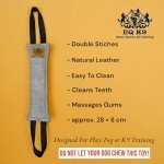 Durable Leather Tug Toy for Dog Training