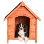 Weather-Resistant Wooden Dog House with Hinged Roof