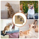 3-Step Pet Ramp for Small Dogs and Cats