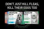 Frontline Plus Flea & Tick Treatment for Dogs