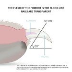 LED Dog Nail Clippers for Small Animals (Blue)