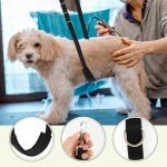3-Pack Nylon Dog Grooming Restraint Loops