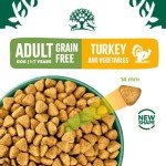 James Wellbeloved Turkey Grain-Free Dry Dog Food