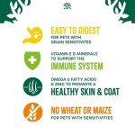 James Wellbeloved Turkey Grain-Free Dry Dog Food