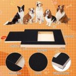Ninoclar Dog Nail Scratch Board & Snack Box