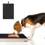 Ninoclar Dog Nail Scratch Board & Snack Box