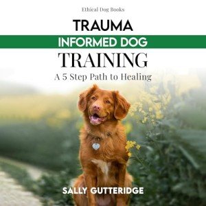 Trauma-Informed Dog Training: A Guide for Guardians
