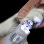 LED Pet Nail Clippers for Dogs and Cats