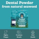Natural Seaweed Dental Powder for Dogs