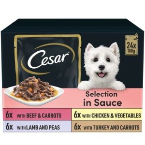 Cesar Adult Wet Dog Food Selection in Sauce