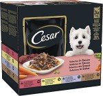 Cesar Adult Wet Dog Food Selection in Sauce