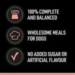 Cesar Adult Wet Dog Food Selection in Sauce