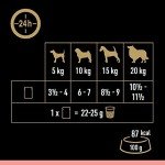 Cesar Adult Wet Dog Food Selection in Sauce