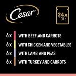 Cesar Adult Wet Dog Food Selection in Sauce