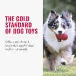 KONG Classic Large Dog Toy