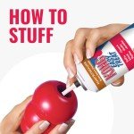 KONG Classic Large Dog Toy