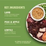 Lily's Kitchen Grain-Free Lamb Shepherd's Pie Dog Food